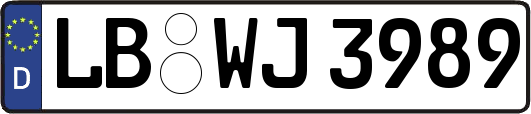 LB-WJ3989