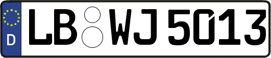 LB-WJ5013