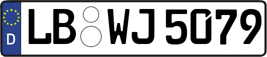 LB-WJ5079