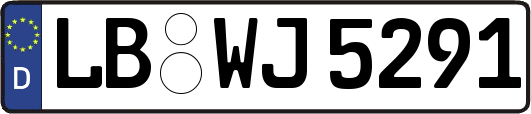 LB-WJ5291