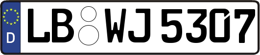 LB-WJ5307