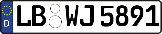 LB-WJ5891