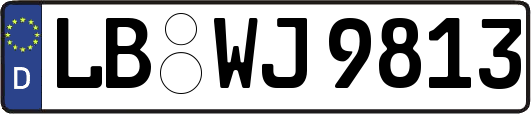 LB-WJ9813