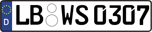 LB-WS0307