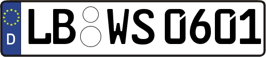 LB-WS0601