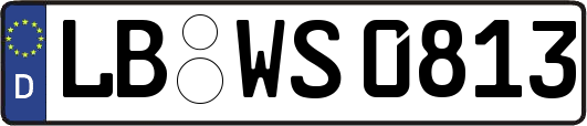 LB-WS0813