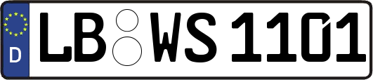 LB-WS1101