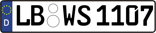LB-WS1107