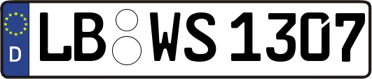 LB-WS1307