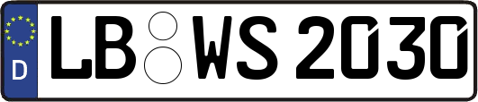 LB-WS2030