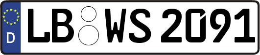 LB-WS2091