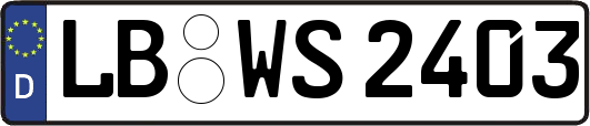 LB-WS2403