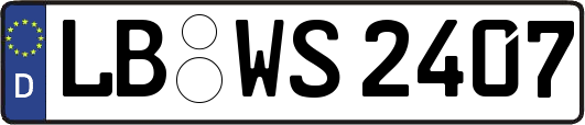 LB-WS2407