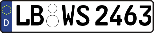 LB-WS2463