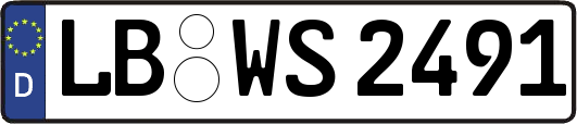 LB-WS2491
