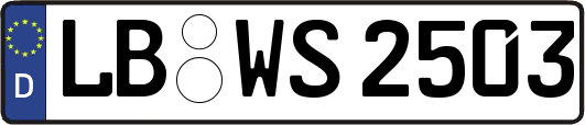 LB-WS2503