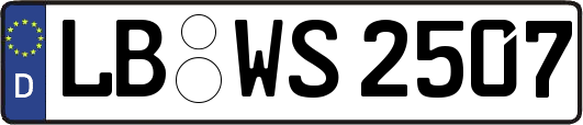 LB-WS2507