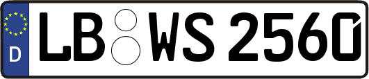 LB-WS2560