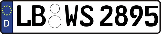 LB-WS2895