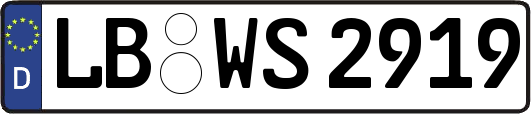 LB-WS2919
