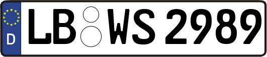 LB-WS2989