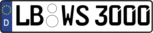 LB-WS3000