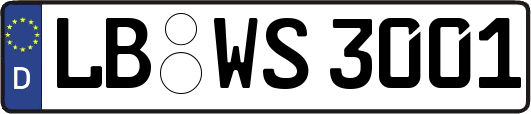 LB-WS3001