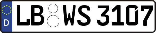 LB-WS3107