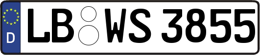LB-WS3855