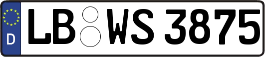 LB-WS3875