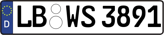 LB-WS3891