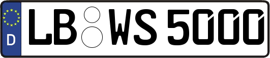 LB-WS5000