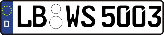 LB-WS5003