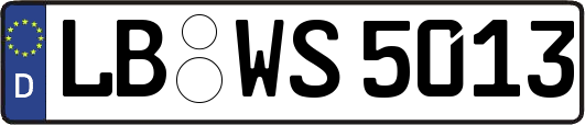 LB-WS5013