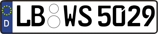 LB-WS5029
