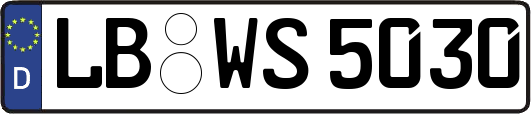 LB-WS5030