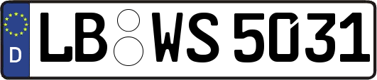LB-WS5031