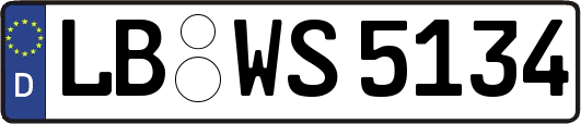 LB-WS5134