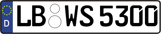 LB-WS5300