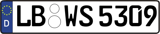 LB-WS5309