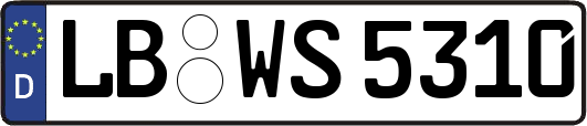 LB-WS5310