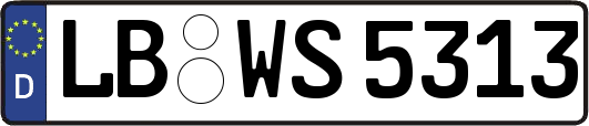 LB-WS5313