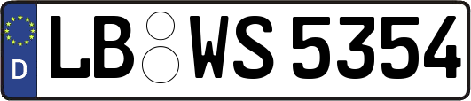 LB-WS5354