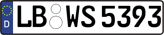 LB-WS5393