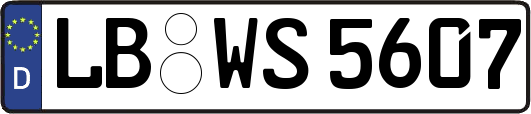 LB-WS5607