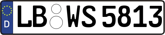 LB-WS5813