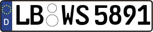LB-WS5891