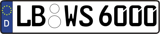 LB-WS6000