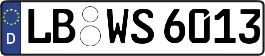 LB-WS6013