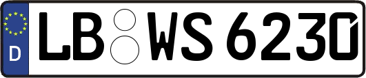 LB-WS6230